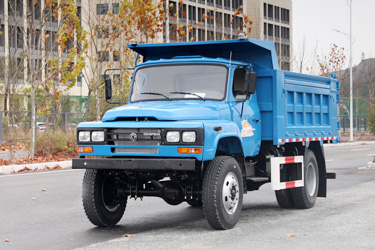 170馬力東風(fēng)4×4越野尖頭卡車_四驅(qū)前2.5噸后8噸專用載貨_全驅(qū)定制貨車