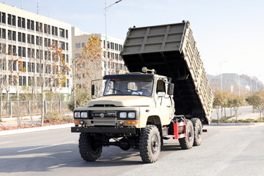 東風170馬力6×6倉柵自卸_六驅2.5噸越野專用翻斗_全驅定制三軸10噸液壓舉升車